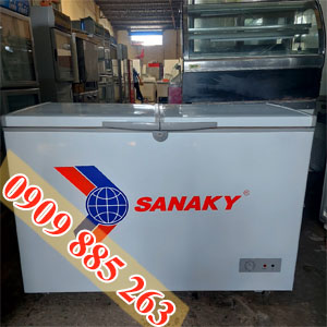 Tủ Đông Sanaky VH-3699A1